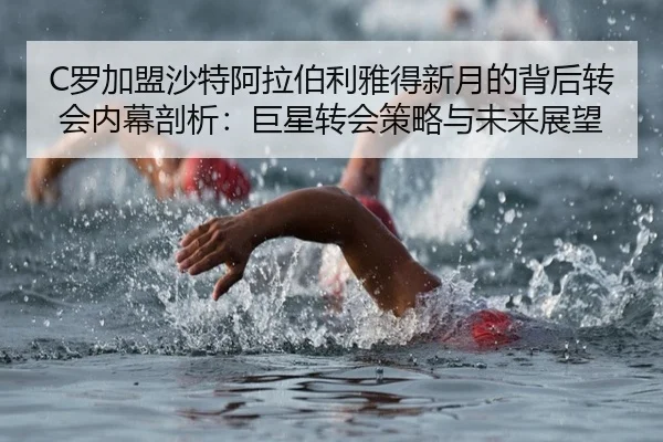 luo-jia-meng-sha-te-a-la-bo-li-ya-de-xin-yue-de-bei-hou-zhuan-hui-nei-mu-pou-xi-ju-xing-zhuan-hui-ce-lve-yu-wei-lai-2-438.jpg