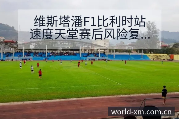 维斯塔潘F1比利时站速度天堂赛后风险复盘 - 熊猫体育官网