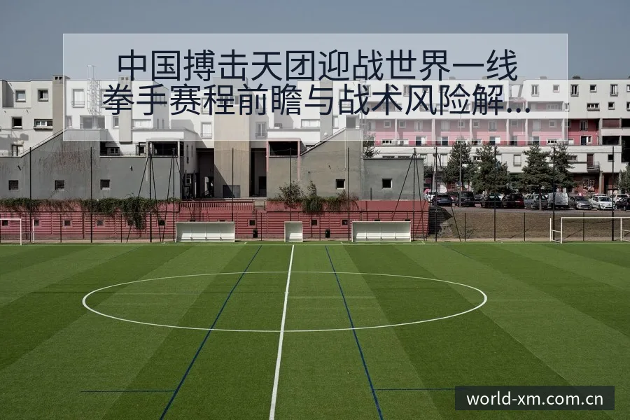 中国搏击天团迎战世界一线拳手赛程前瞻与战术风险解析 - 熊猫体育官网